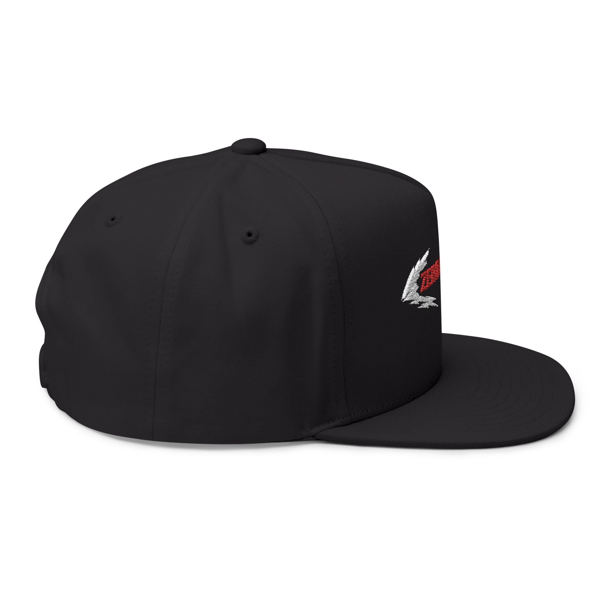 Zero Limits Flat Bill Hat - Black